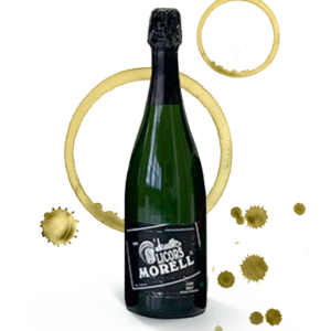 Cava LMC64 Brut Cassolà