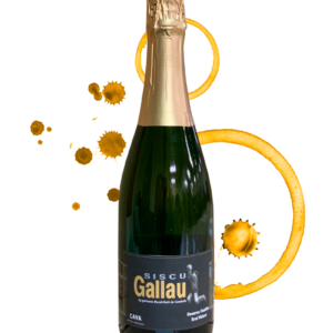 Cava Siscu Gallau BN Reserva LMC64